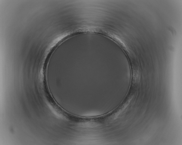 X0000114080674200910191543