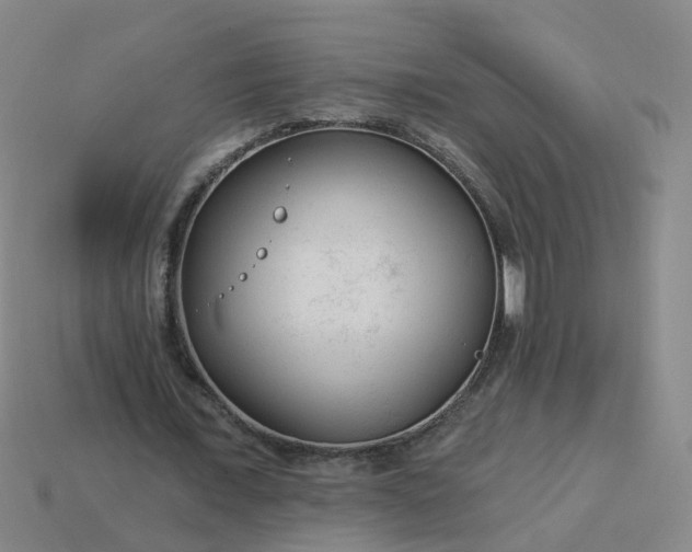 X0000114080675200910191543