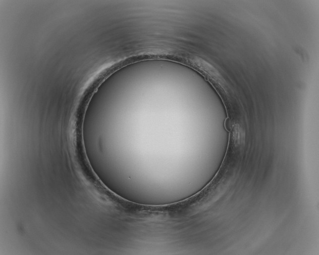 X0000114080676200910191543