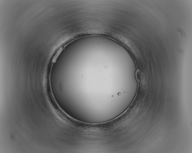 X0000114080677200910191543