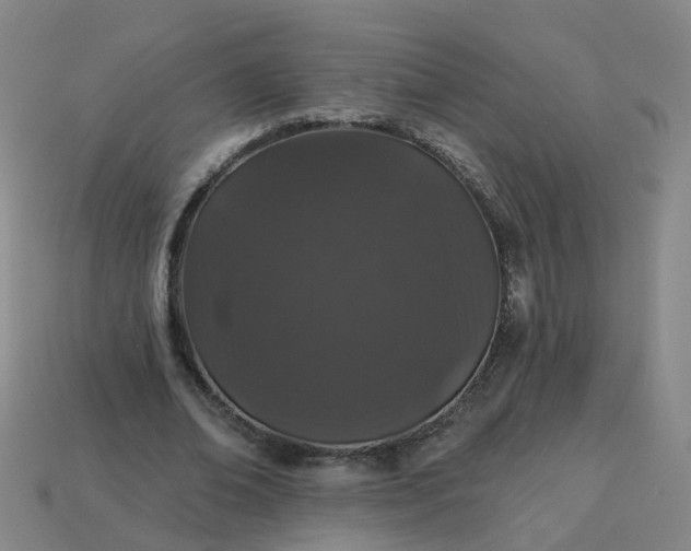 X0000114080678200910191543