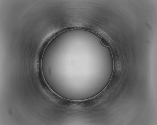 X0000114080680200910191543