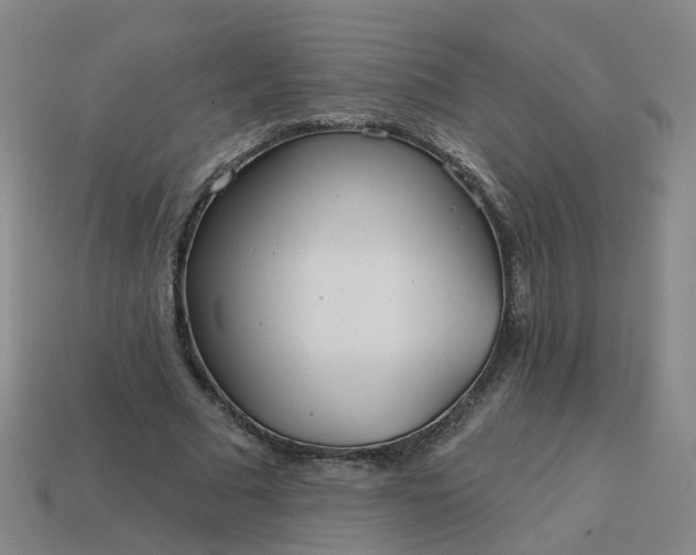 X0000114080681200910191543