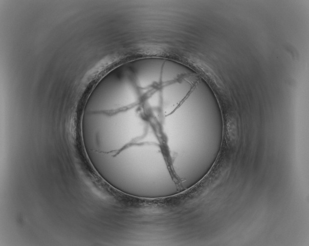 X0000114080682200910191543