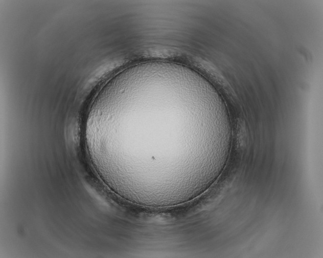 X0000114080683200910191543