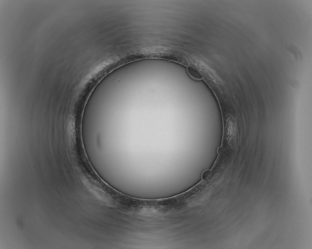 X0000114080684200910191543