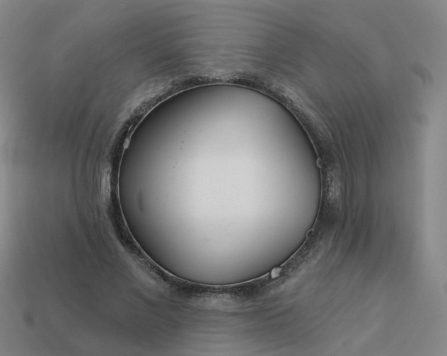 X0000114080685200910191543