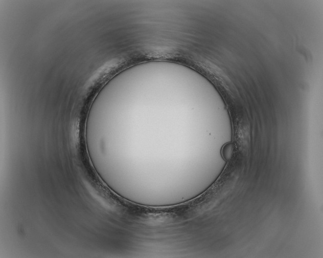 X0000114080686200910191543