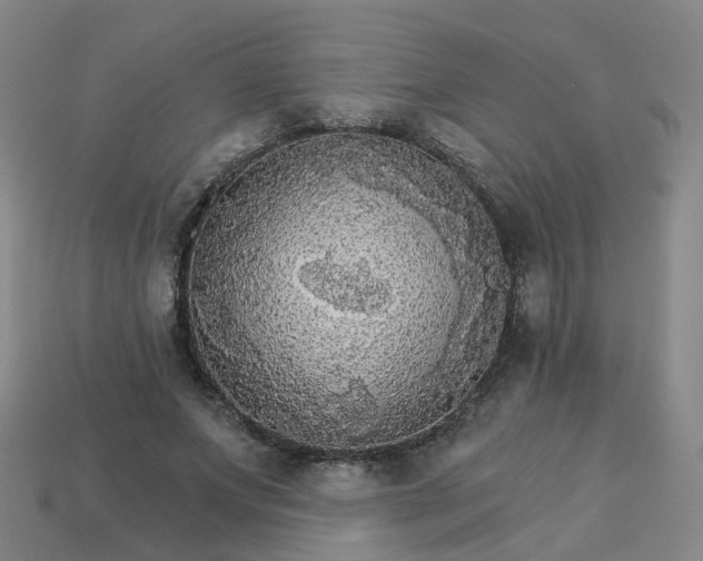 X0000114080687200910191543