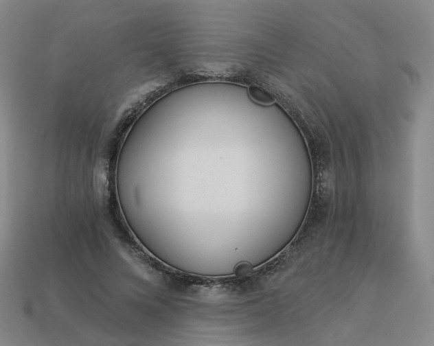 X0000114080688200910191543