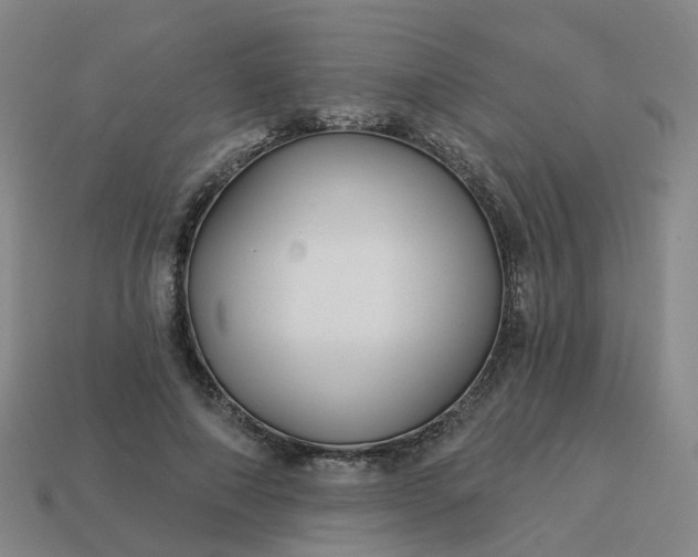 X0000114080690200910191543