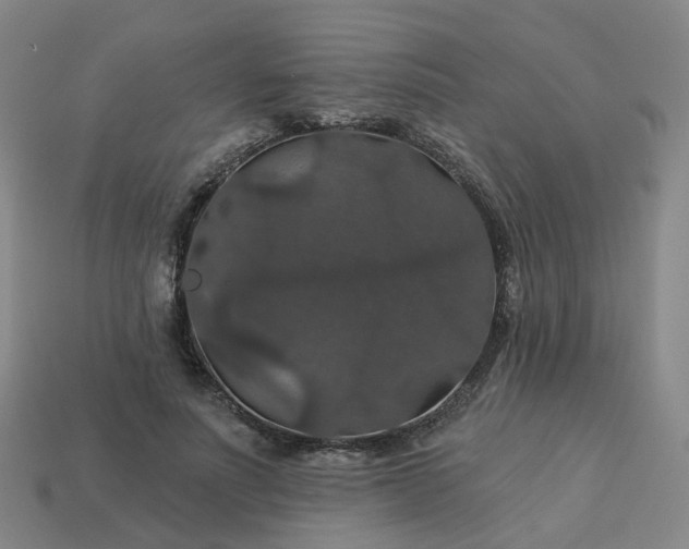 X0000114080691200910191543