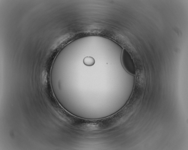 X0000114080692200910191543