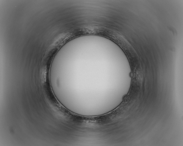 X0000114080694200910191543