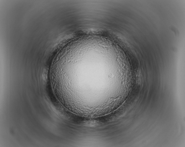 X0000114080695200910191542