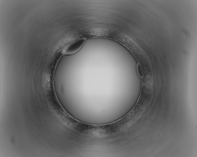 X0000114080696200910191542