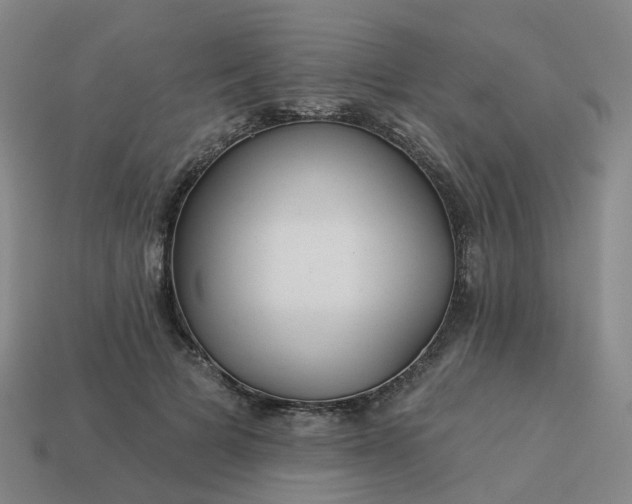 X0000114080697200910191542