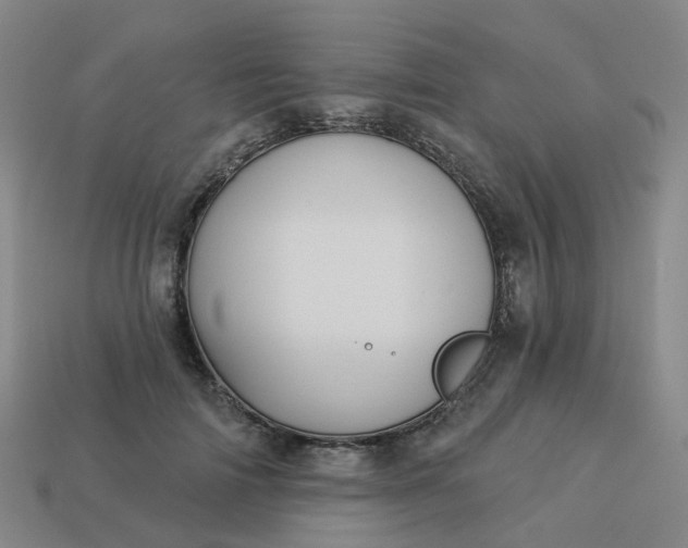 X0000114080698200910191542