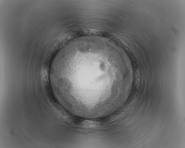 X0000114080699200910191542