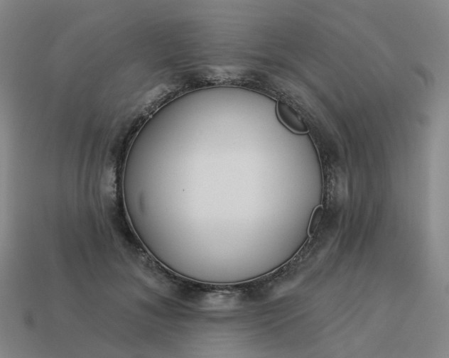 X0000114080700200910191542