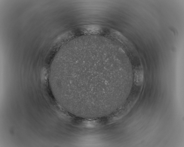 X0000114080701200910191542