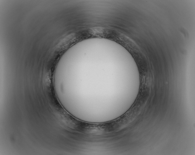 X0000114080702200910191542