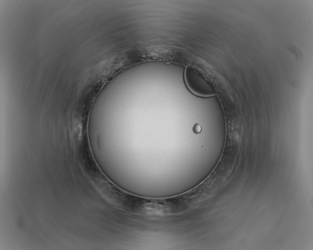 X0000114080703200910191542