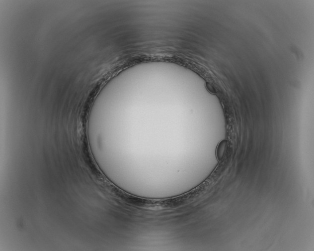 X0000114080704200910191542