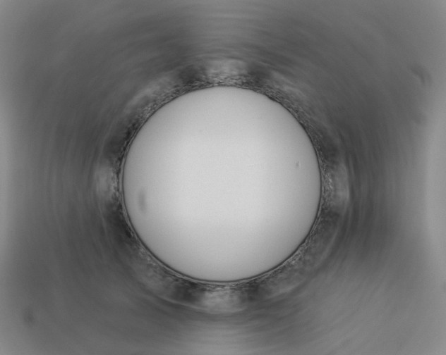 X0000114080705200910191542