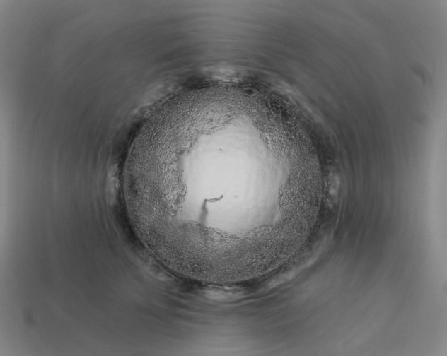 X0000114080707200910191542