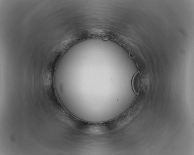 X0000114080708200910191542