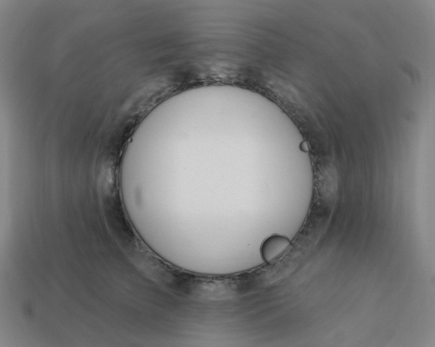 X0000114080709200910191542