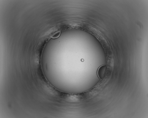 X0000114080710200910191542