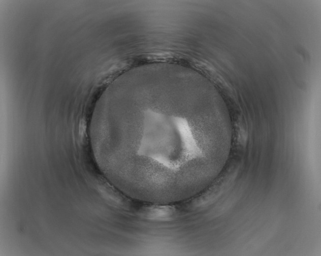 X0000114080711200910191542