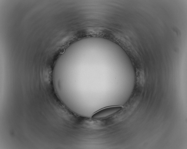 X0000114080712200910191542