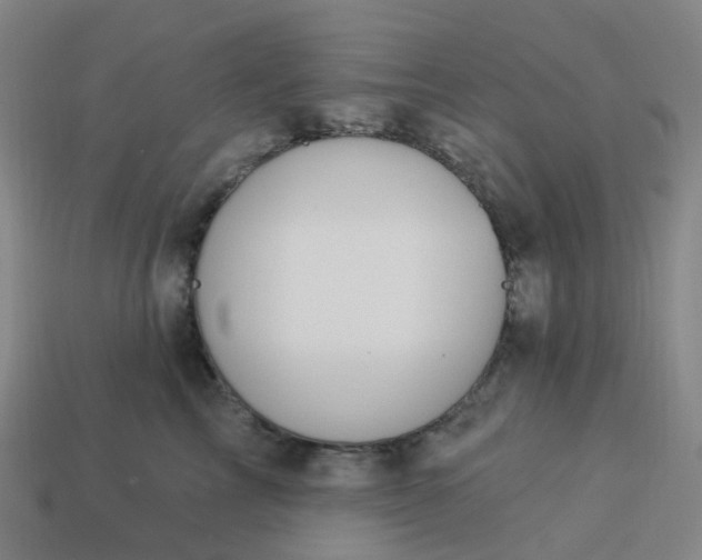 X0000114080713200910191542