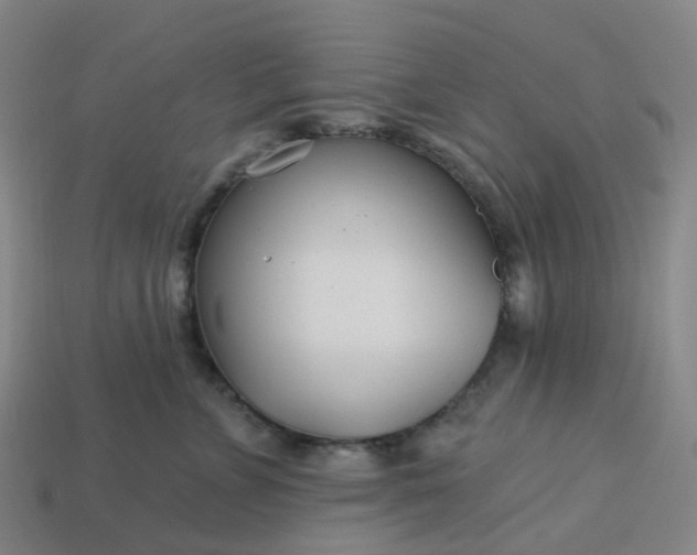 X0000114080715200910191542