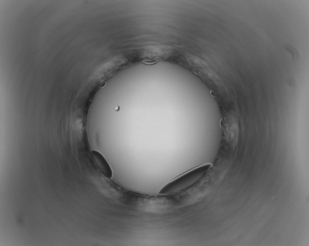 X0000114080716200910191542