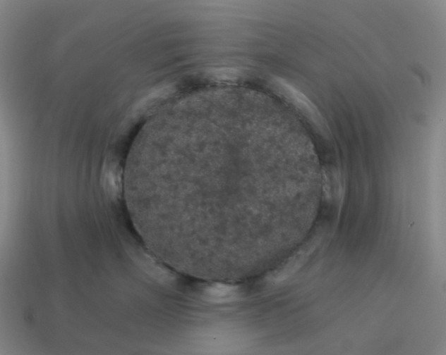 X0000114080718200910191542