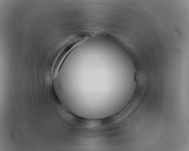 X0000114080719200910191542