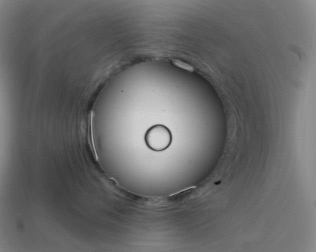 X0000114080720200910191542