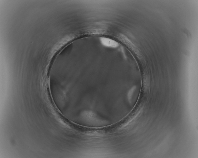 X0000114080721200910191542