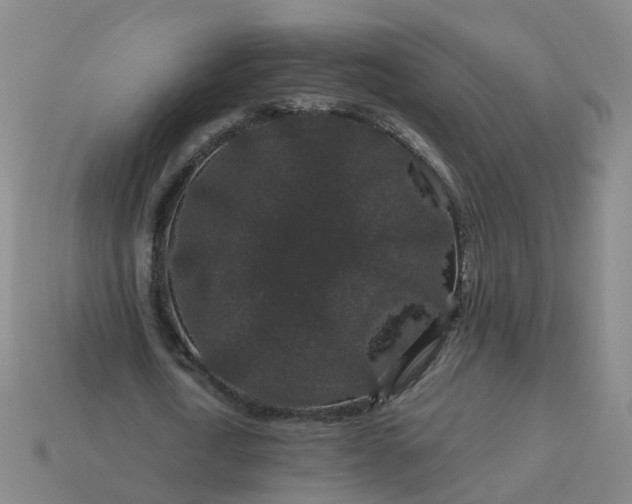 X0000114080722200910191542