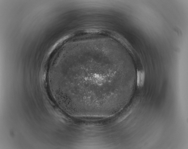 X0000114080723200910191542