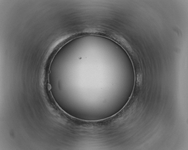 X0000114080724200910191542