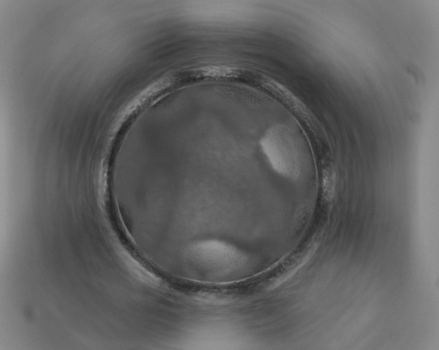 X0000114080725200910191542