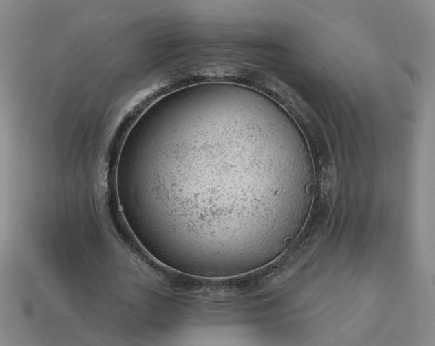 X0000114080727200910191542