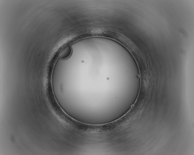 X0000114080728200910191542