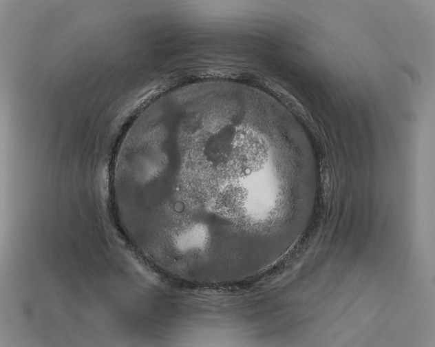 X0000114080729200910191542