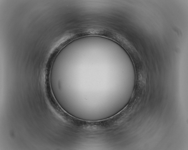 X0000114080730200910191542